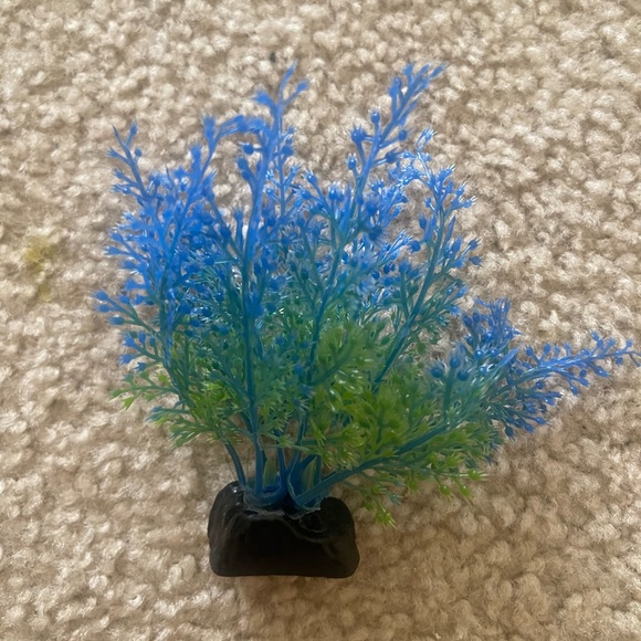 Fish tank plants and decor - Picture 7 of 7